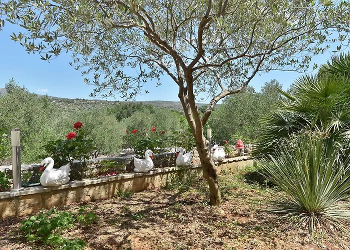 Diva House Дом отдыха